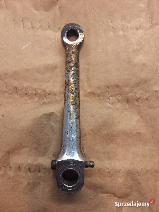 Komar sztywniak korby Krzywcza