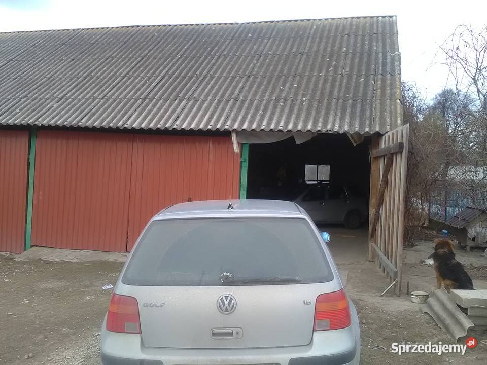 Golf 4 Anglik 1999 bg