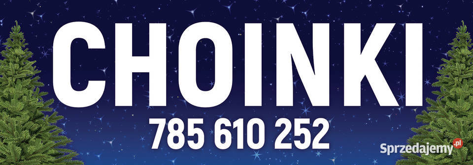 Choinka żywa jodła świerk cięte i w donicy śląskie Sosnowiec