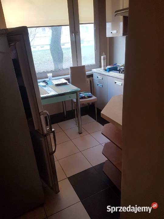 Sprzedam mieszkanie w bloku 3 pokoje Sprzedaż Żychlin