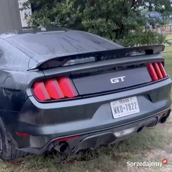 2016 Ford Mustang GT 50 Premium wielkopolskie Konin