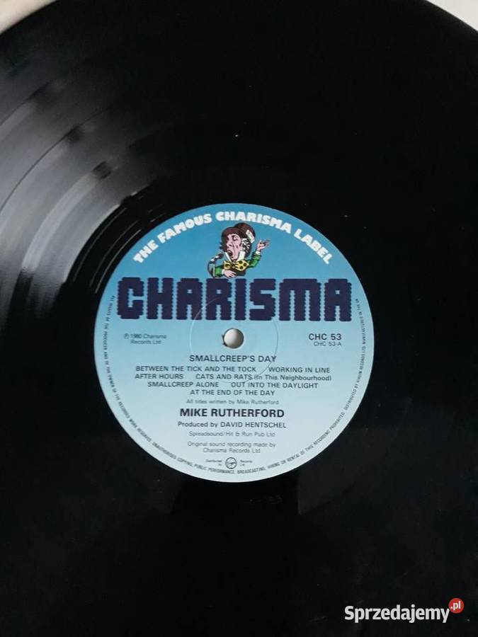MIKE RUTHERFORD Smallcreeps Day Płyty i kasety podkarpackie Rzeszów