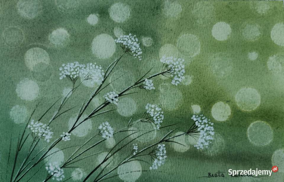Akwarela Akwarelka Obraz Subtelność Autorska Malarstwo sprzedam
