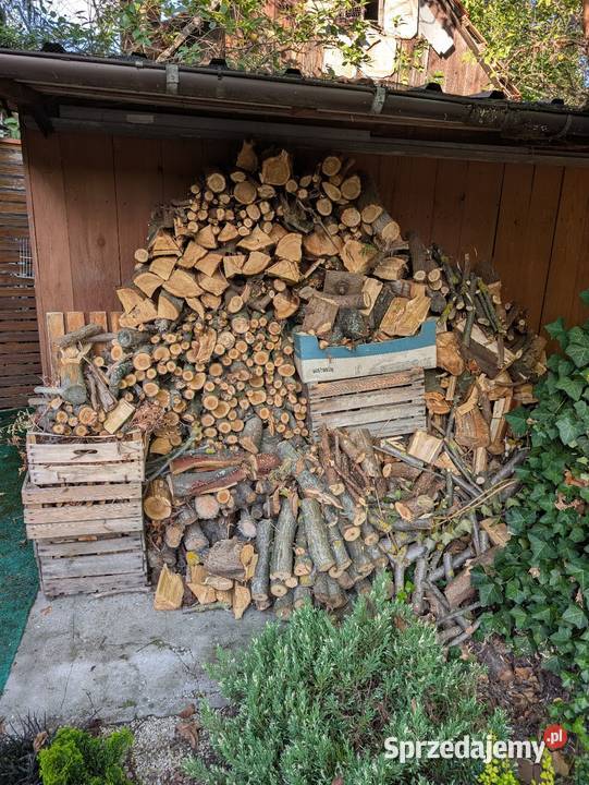 Drewno orzech czereśnia tuja podkarpackie Nisko