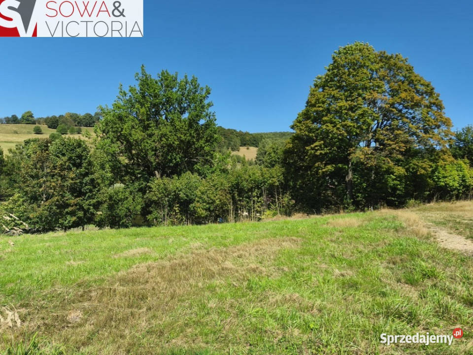 Działka w cichej uliczce z prądem Głuszyca