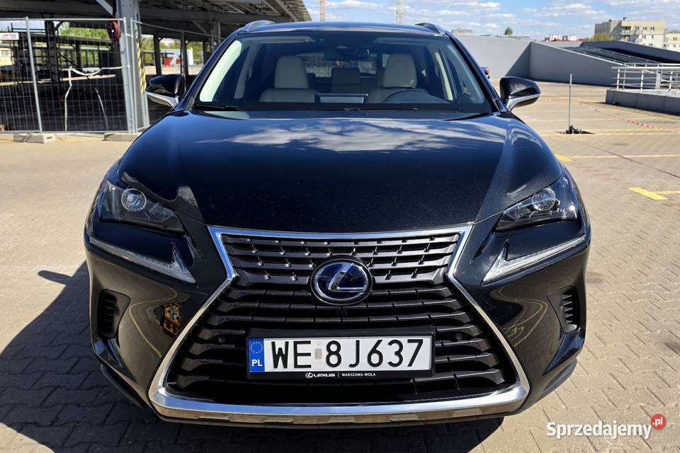 LEXUS NX 300 h Prestige AWD Salon ASO NX Warszawa