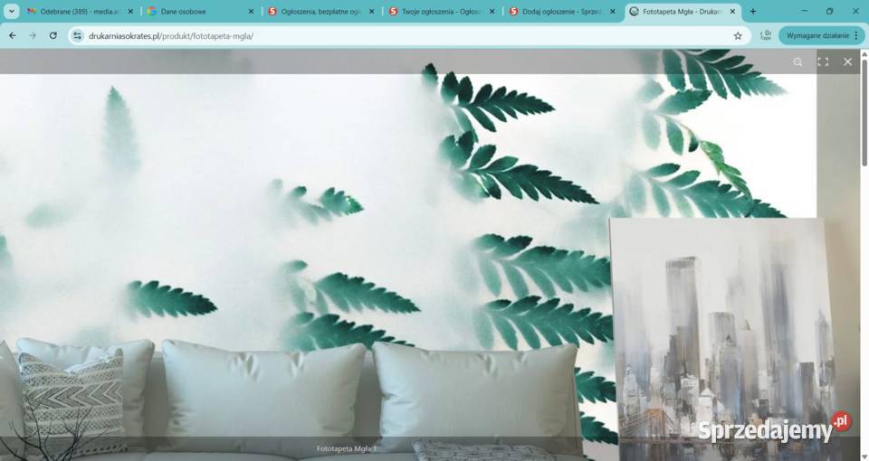 Fototapeta Mgła Zabrze sprzedam