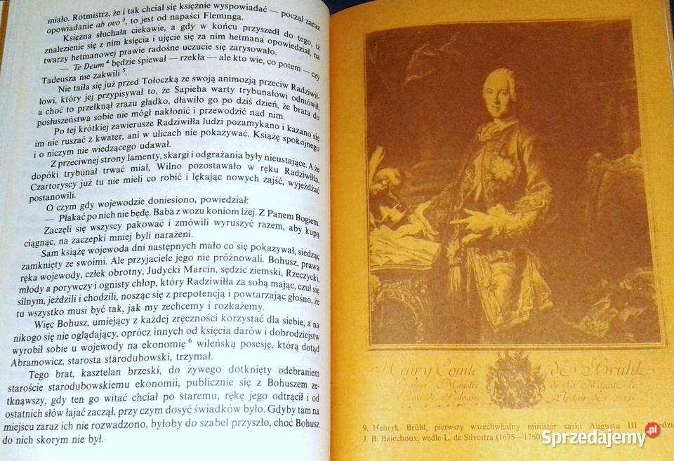 Saskie ostatki Józef Ignacy Kraszewski Chełm