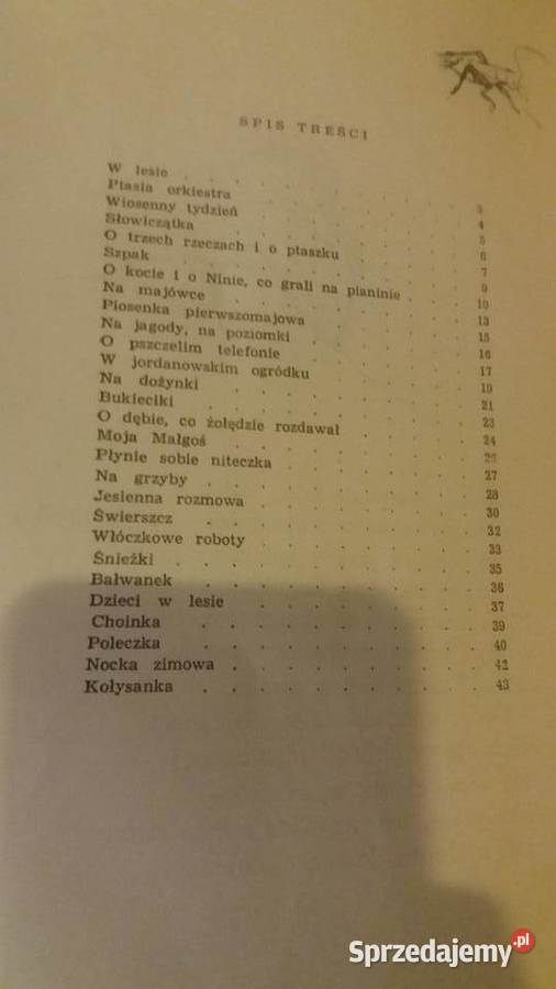 O czym cyka świerszcz z kącika bajki dziecięce mazowieckie Warszawa