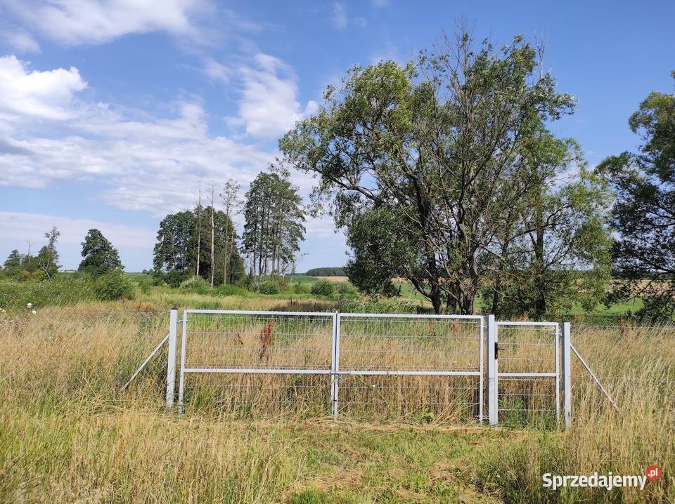 Nieruchomość rolna zabudowana Nieruchomości Starowieś
