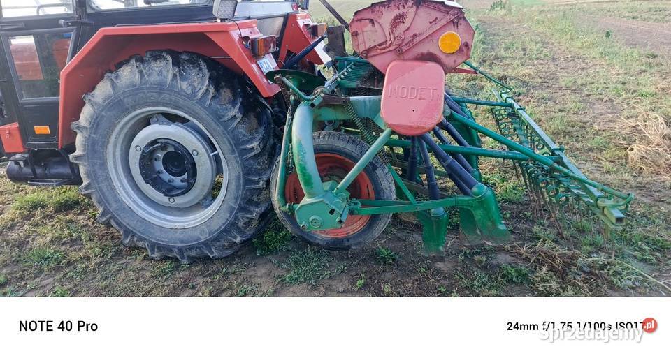 Nodet gougis siewnik Gruszka Zaporska