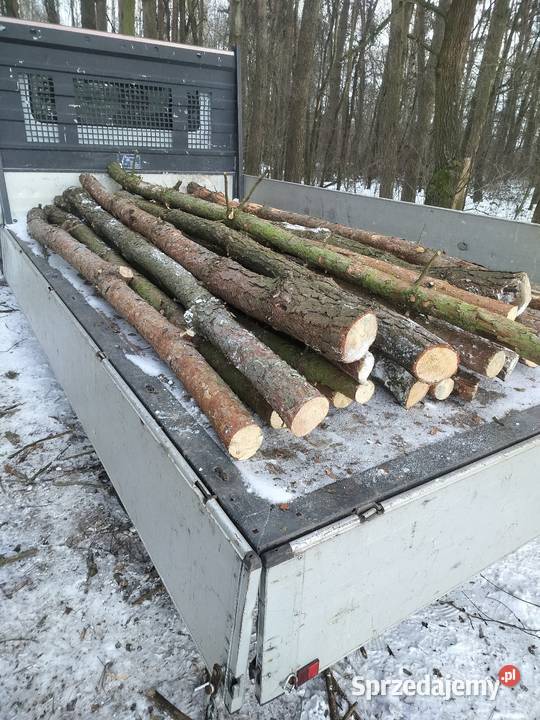 stemple budowlane sosna Miłochniewice sprzedam