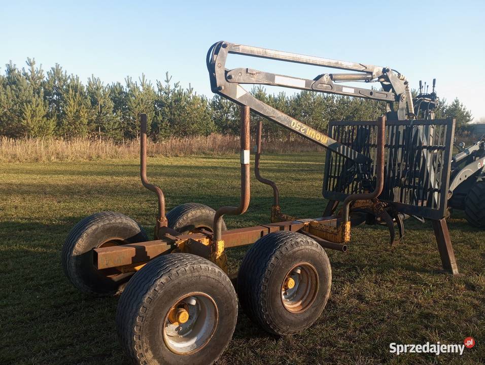 Przyczepa leśna Buk