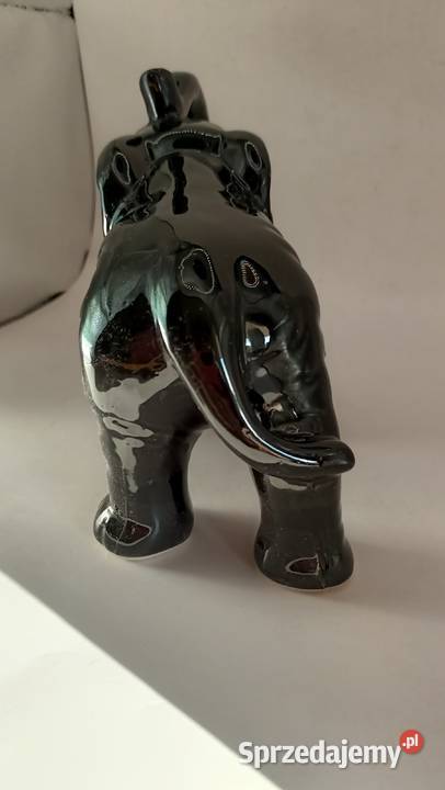 Duży czarny słoń z trąbą do góry i krocząca lubelskie Zamość