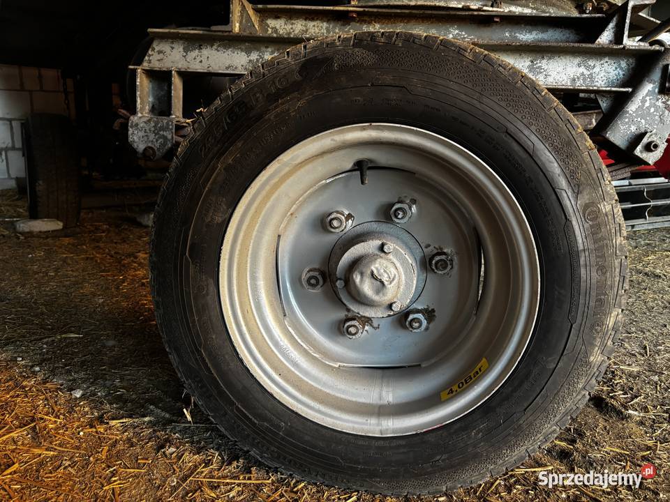 Koła nieuszkodzony Janów Lubelski