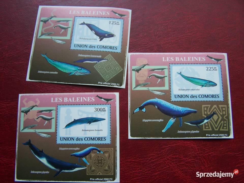 Komory 2009 MNH Fauna Wieloryby Nakład 2500 Tychy