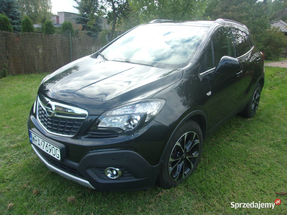 Piękna Mokka sprzedam