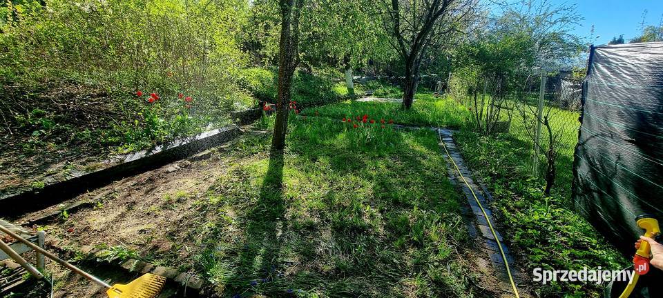 Ogródek Działkowy ROD Wyzwolenie Gliwice 187m2