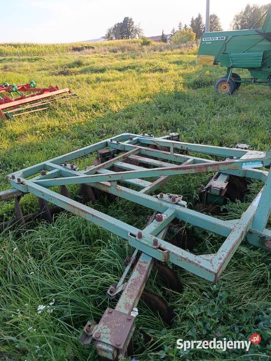 Talerzówka bomet Platerów