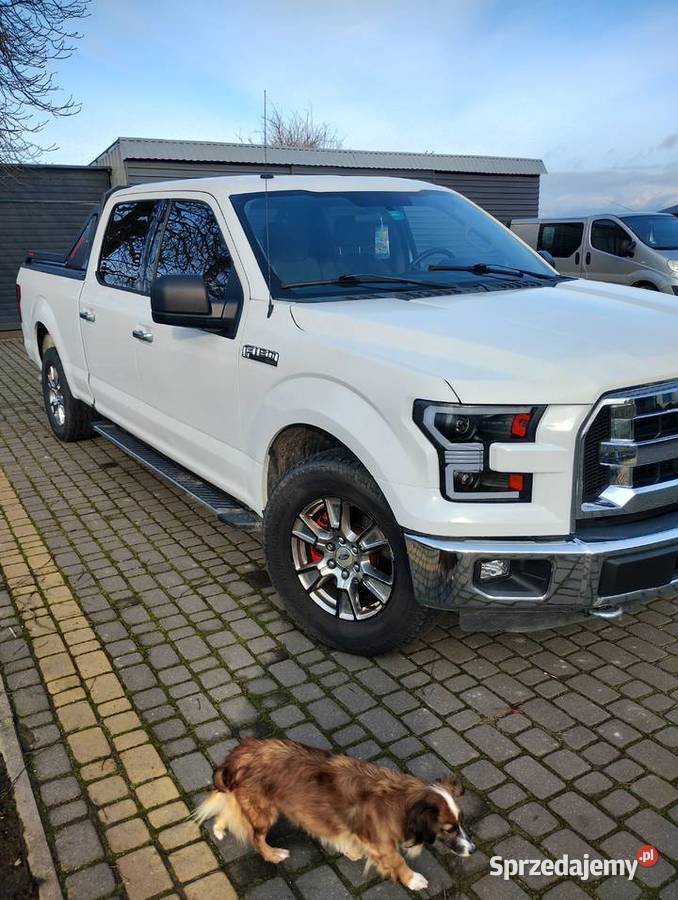 Ford F150 nowa instalacja gazowa kupiony w Polsce Chełmża