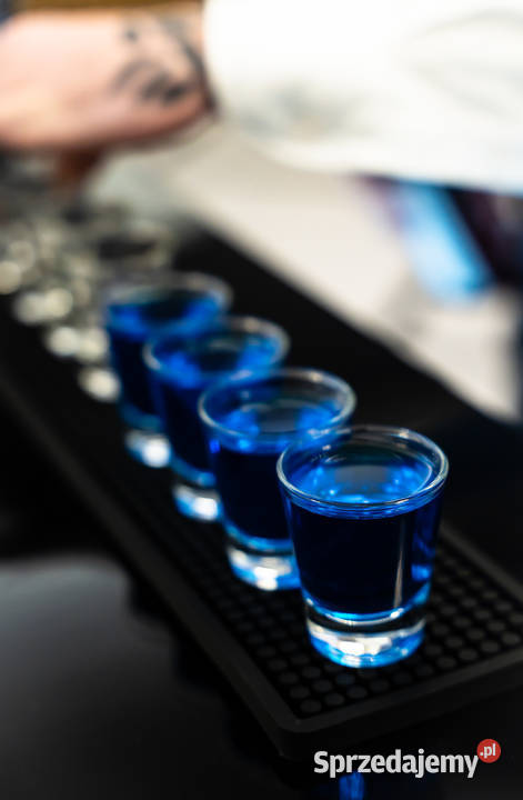 BAR NA FALI Mobilne Usługi Barmańskie Śluby, wesela, przyjęcia obsługa imprez