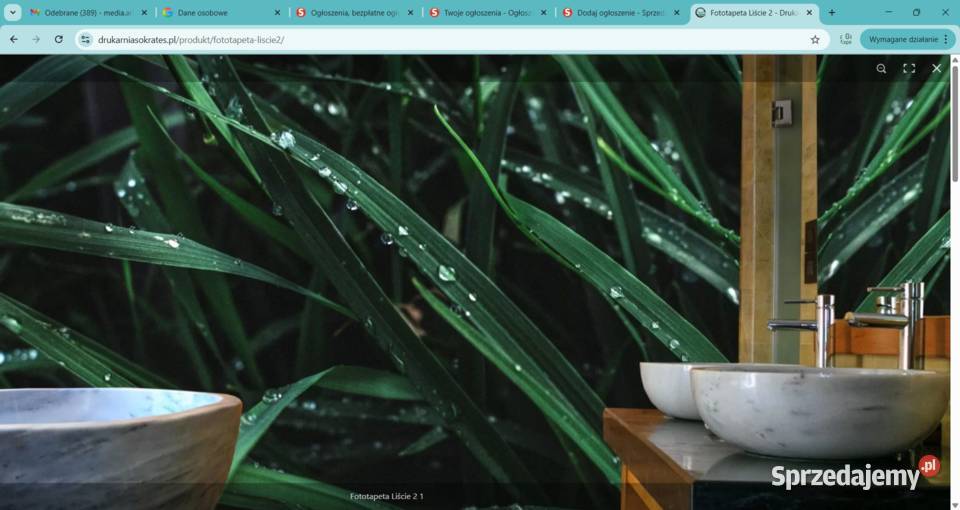 Fototapeta Liście 2 9834 56734 Zabrze