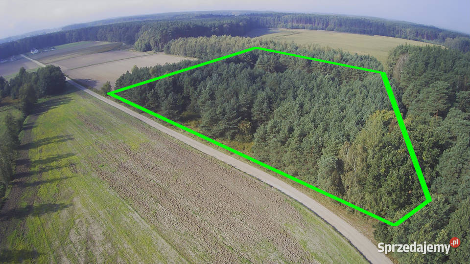 Działka z prywatnym lasem Wydane WZ i pozwolenie Nowa Róża