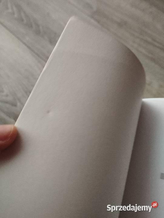 słuchaj pieśni wiatru flipper roku 1973 haruki Poznań