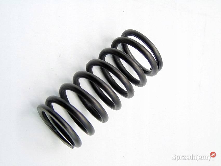 SPRĘŻYNA ZAWORU 20 D BMW X3 E46 E90 E91 E60 E61 sprzedam