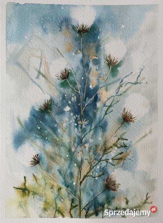 Akwarela Akwarelka Obraz pt Ostrożeń Polny