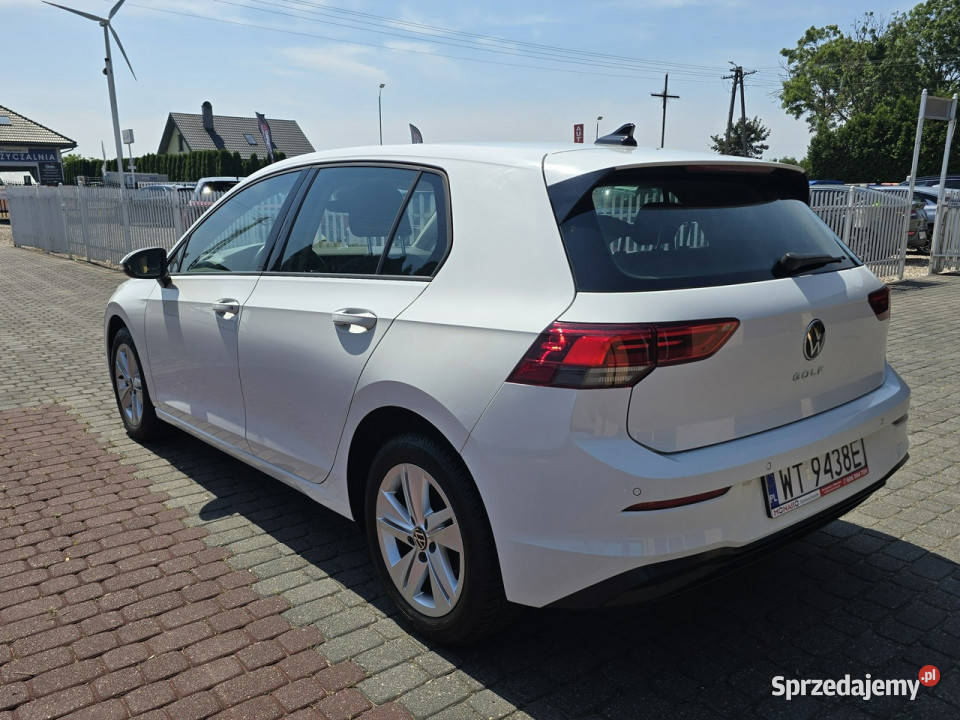 Volkswagen Golf Hatchback 15 TSI 130 Salon Włocławek