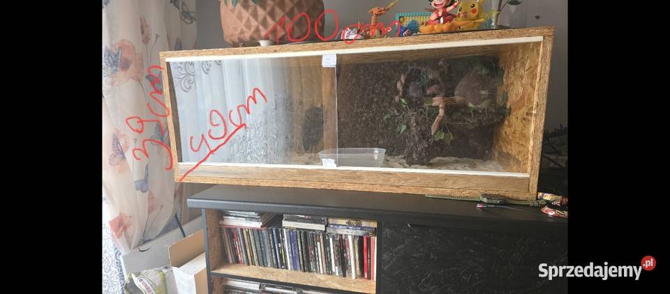 Sprzedam Terrarium z Boa Jastrzębie-Zdrój