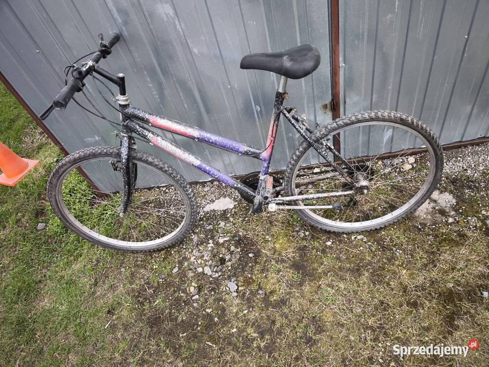 Rower Tecno Bike dune 26 ciekawe malowanie