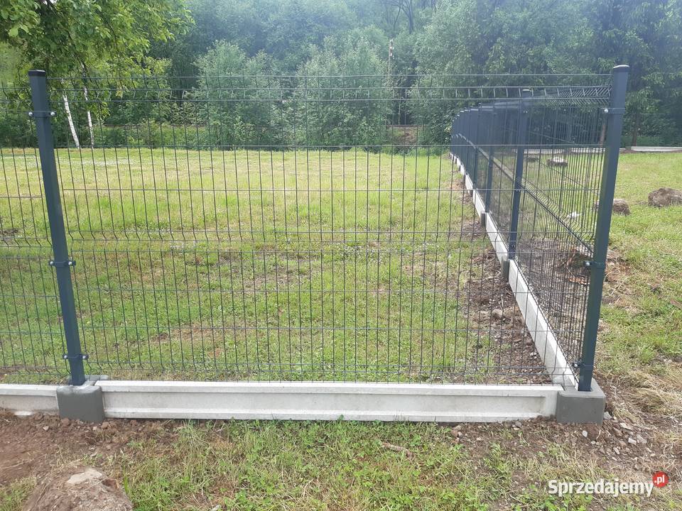 OGRODZENIA PANELOWE PODMURÓWKA 55 Siatki i panele Nowy Targ sprzedam
