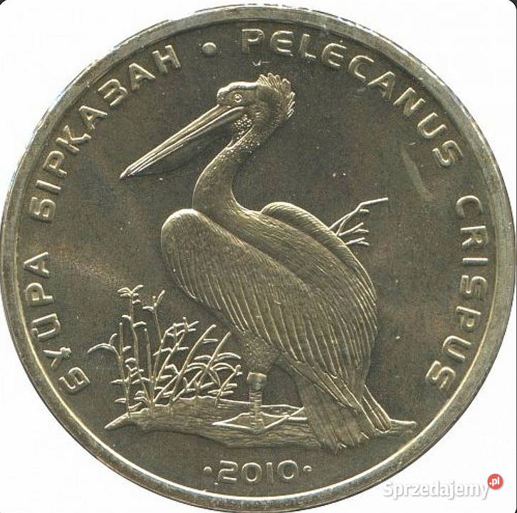50 Tenge 2010 Kazakhstan Pelikan Kedzierzawy Numizmatyka Ełk