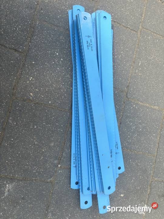 Brzeszczoty Globus mazowieckie Wołomin sprzedam
