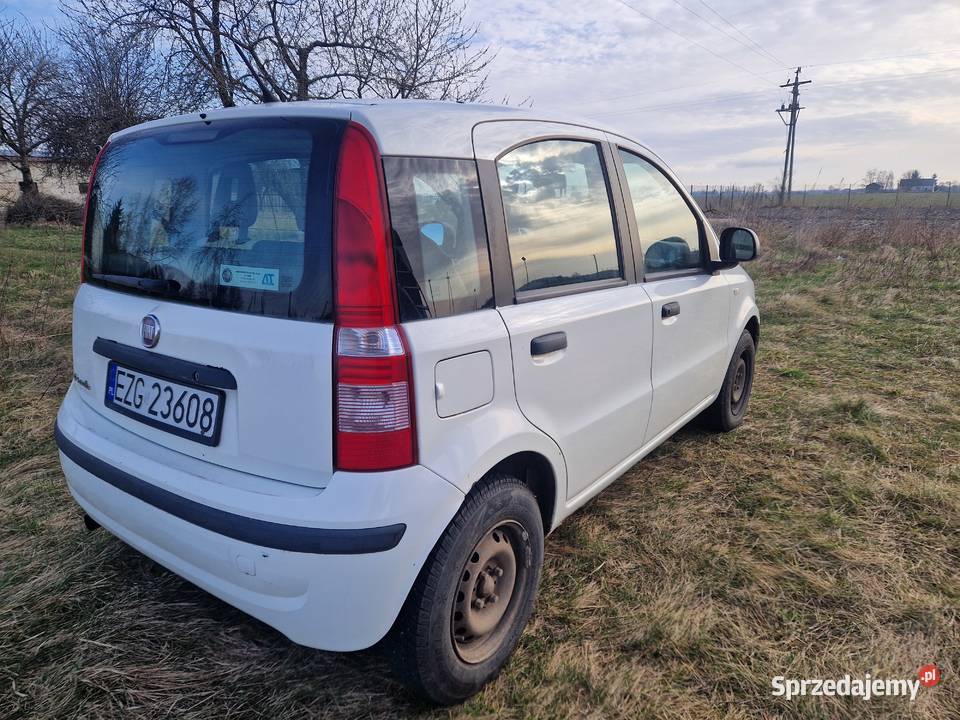 Fiat panda 2011 poj13 dissel multijet z klimą i Rok produkcji 2011 Gniezno