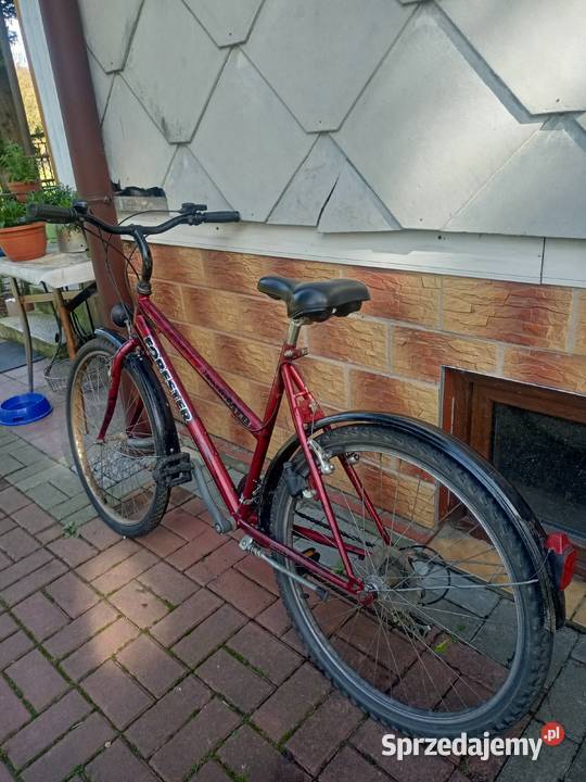 Sprzedam rower forester Łodygowice