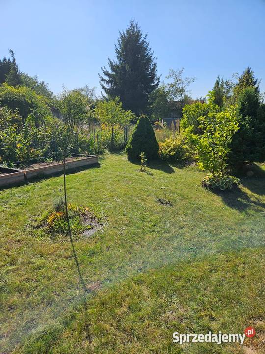 Rod Sahara Wrocław ok 400m2 dolnośląskie