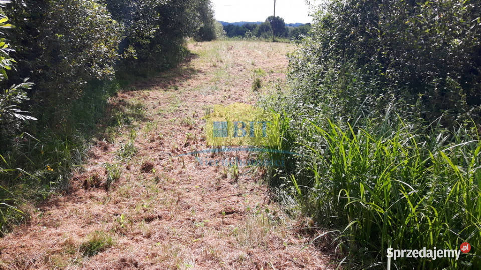 Działka 059 ha 150m Jeziora Ostrowiec zachodniopomorskie Kolno