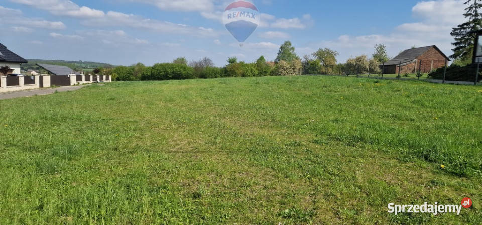 Piękna działka na Jurze KrakowskoCzęstochowskiej Lgota Murowana sprzedam