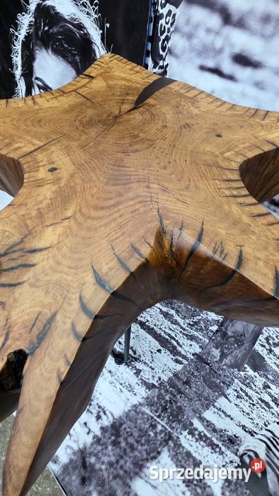Stolik kawowy z korzenia PROMOCJA świętokrzyskie Kielce