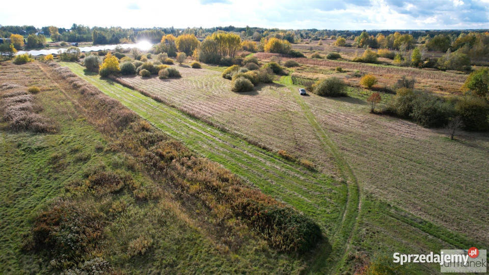 sprzedaży działki 2894 metry Korczów Sprzedaż Nieruchomości