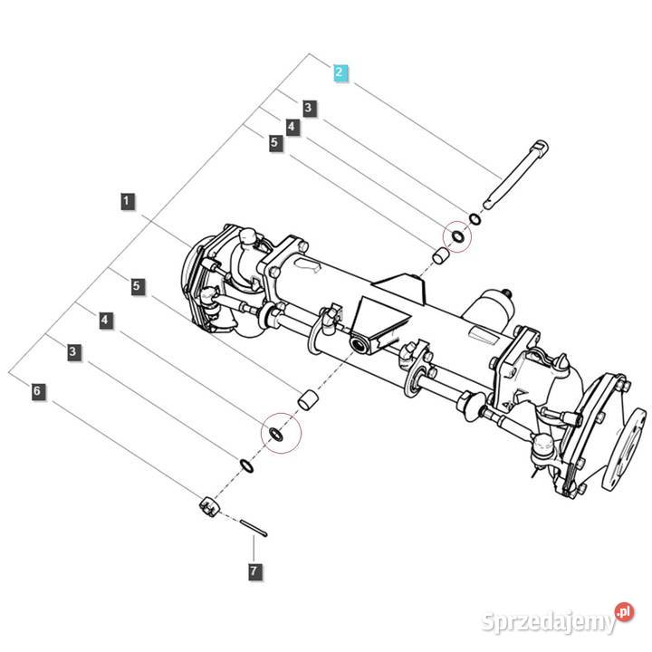 Oring 20 x 3 mm LS MT 125 LS XJ 25 40195048 Tajęcina