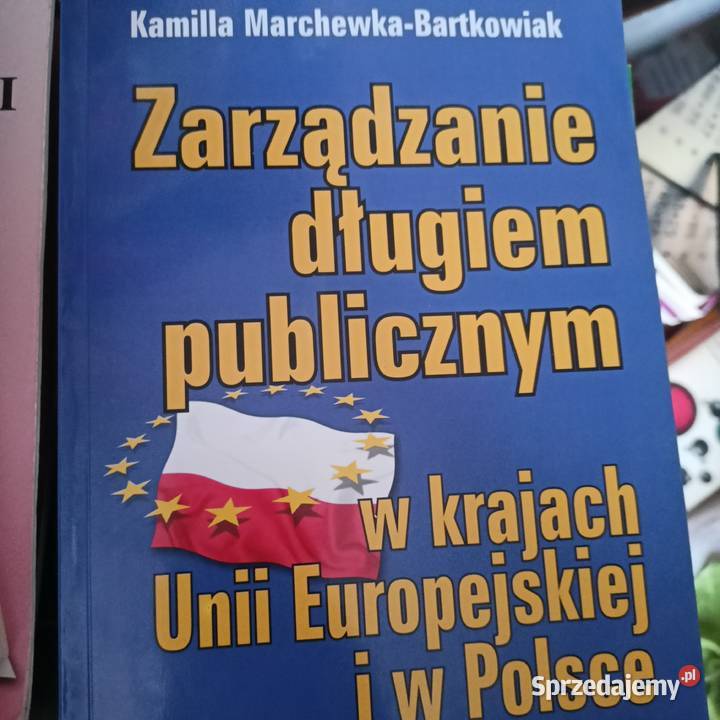 Zarządzanie długiem publicznym książki wysyłka biznes, nauki ekonomiczne Gdańsk sprzedam
