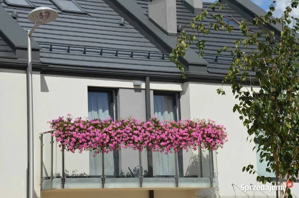 Rynny Aluminiowe Ciagle Rynna Kwadratowa Budowa Warszawa