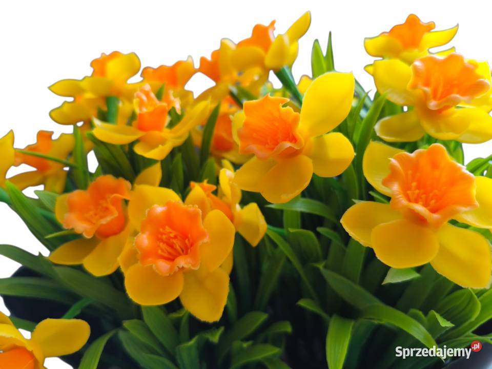 Narcyze sztuczny bukiet pomarańczowy Ropczyce