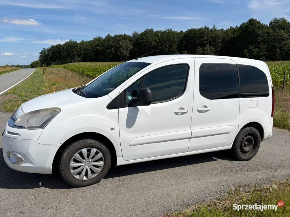Citroen berlingo 16Hdi 2014r 115 Rogowo
