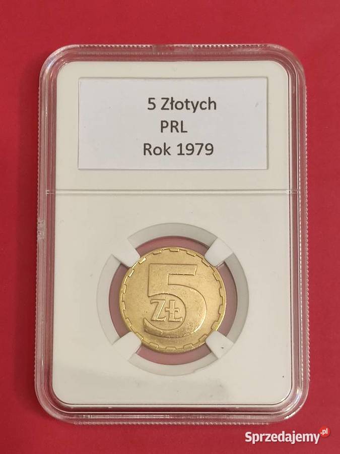 5 1979r W slabie Lębork sprzedam