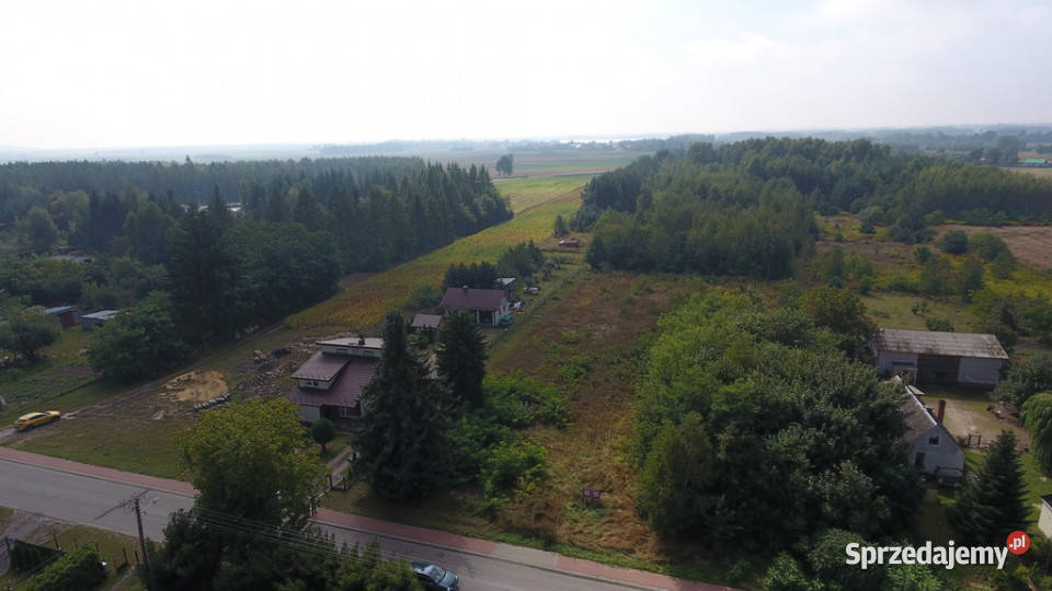 Działka Dąbrowica Ludwin 105 ar media lubelskie